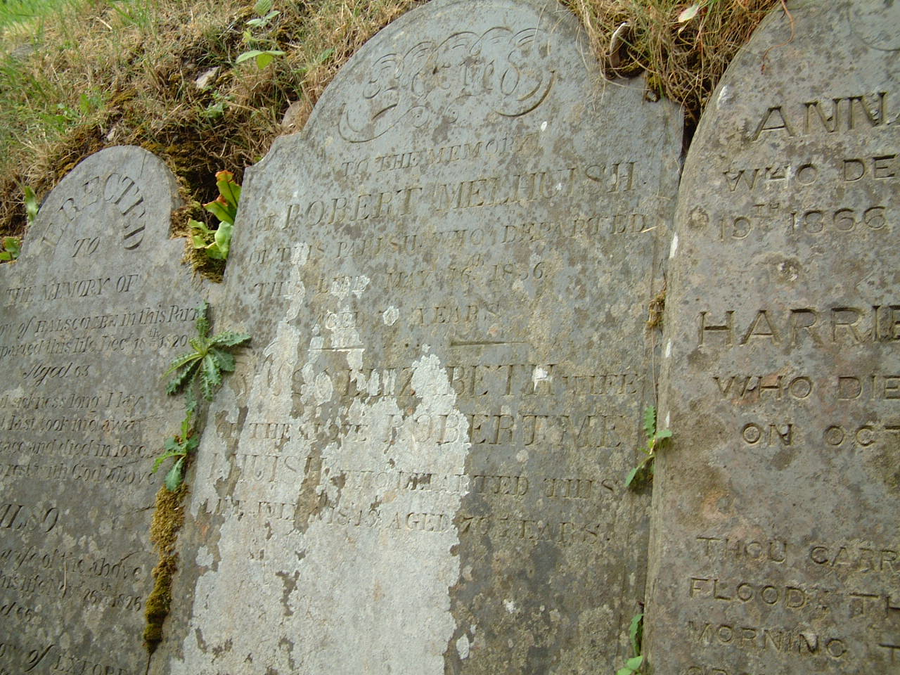 /photos/Grave of Robert and Elizabeth Melhuish